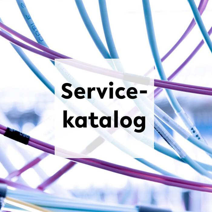 Glasfaserkabel mit dem Schriftzug "Servicekatalog" davor